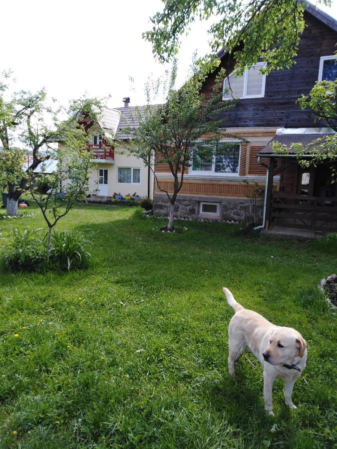 Casa Traditionala Subcetate Subcetate  Eksteriør billede